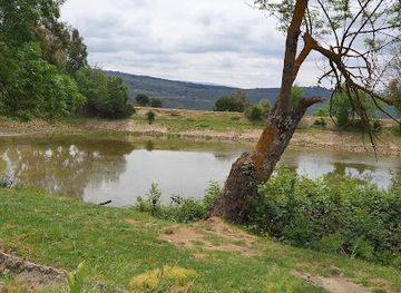 algeria/constantine/attraction/djebel-el-wahch-forest