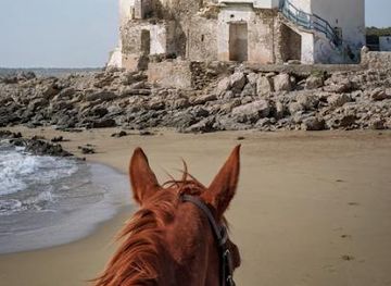 morocco/essaouira/attraction/sidi-kaouki-beach