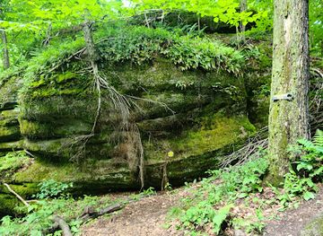 pennsylvania/allegheny-national-forest/attraction/rock-city-park