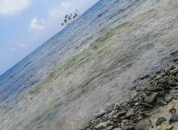 panama/colon/attraction/isla-pelican