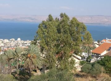 israel/safed/attraction/limonim-forest
