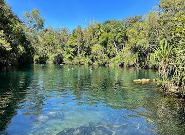 australia/darwin/attraction/berry-springs-nature-park