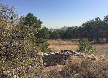 turkiye/ankara/attraction/odtu-bilim-agaci-ilk-yeri