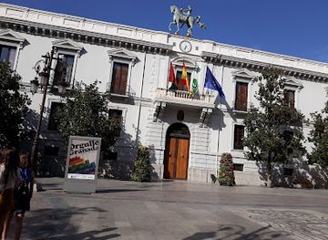 spain/granada/realejo-san-matias/attraction/palacio-de-la-madraza