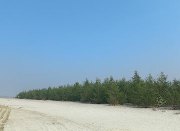 bangladesh/kuakata/attraction/lal-kakra-beach