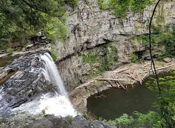 tennessee/fall-creek-falls-state-park/attraction/cane-creek-cascades