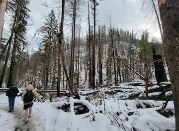 oregon/polk-county/attraction/terwilliger-hot-springs