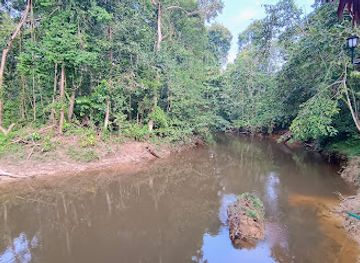 colombia/leticia/attraction/gecko-extremo