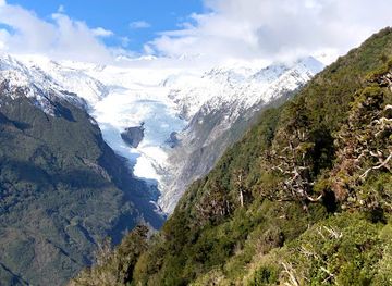 new-zealand/fox-glacier/attraction/start-alex-knob-trail