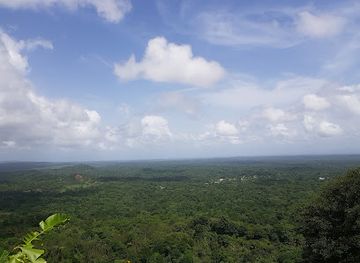 trinidad-and-tobago/mayaro/attraction/tamana-bat-cave