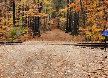 new-hampshire/great-north-woods/attraction/whitaker-woods