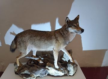 czechia/czech-moravian-highlands/attraction/bohemian-moravian-highlands-museum-in-jihlava