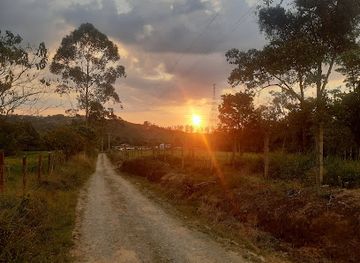 colombia/risaralda-department/attraction/el-palacio-ranch
