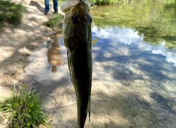 nebraska/chadron-state-park/attraction/chadron-city-ponds