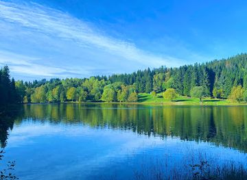 norway/sor-trondelag/attraction/estenstaddammen