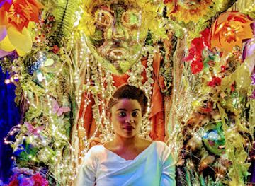 virginia/charlottesville/attraction/the-looking-glass-immersive-art-experience