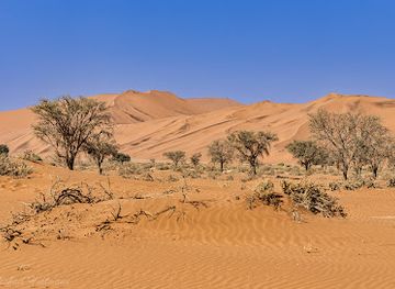 namibia/namib-desert/attraction/big-mamma-dune