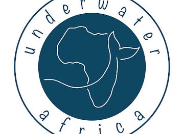 mozambique/tofo-beach/attraction/underwater-africa