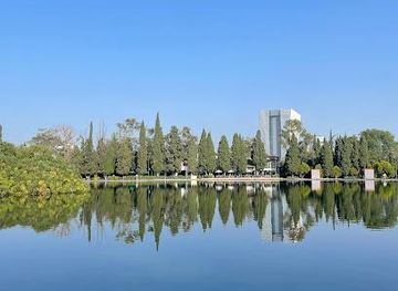 mexico/mexico-city/attraction/lago-mayor-de-chapultepec