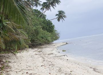 solomon-islands/new-georgia-islands/attraction/vella-lavella-island