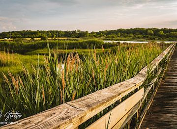delaware/bombay-hook-national-wildlife-refuge/attraction/woodland-beach-state-wildlife-management-area