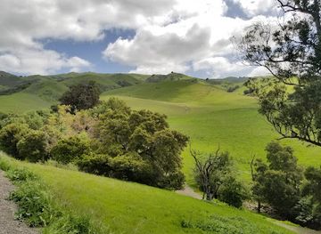 california/livermore/attraction/mission-peak-regional-preserve