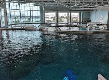 florida/clearwater/attraction/clearwater-marine-aquarium