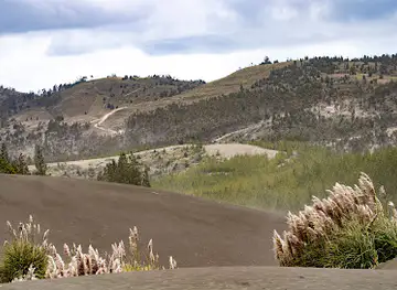 Desierto de Palmira