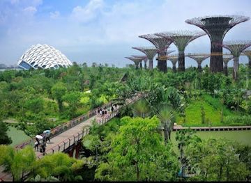 singapore/marina-bay/marina-south/attraction/supertree-grove