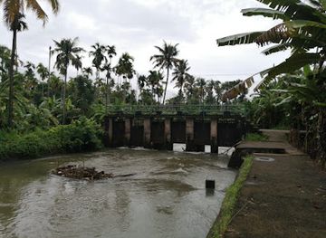 india/kerala/attraction/mini-dam-manjapara