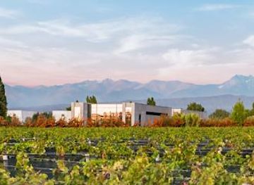 argentina/mendoza/attraction/vina-cobos