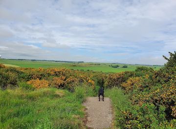 united-kingdom/aberdeen/attraction/scotstown-moor