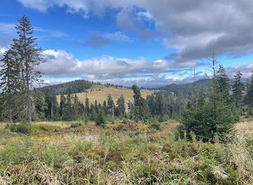 poland/gorce-mountains/attraction/szalasowy-the-altar-hall-turbacz