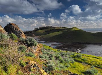 california/union-city/attraction/coyote-hills-regional-park