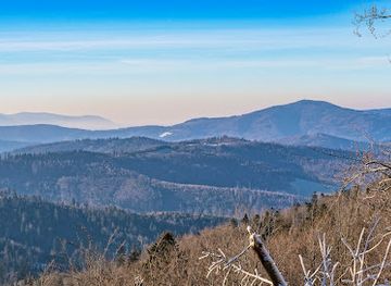 poland/silesian-beskids/attraction/zrodlo-malinki