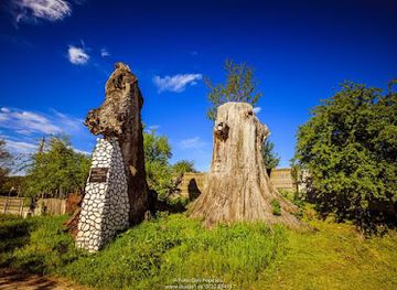 romania/gorj/attraction/stejarii-seculari