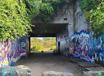 Battery Steele