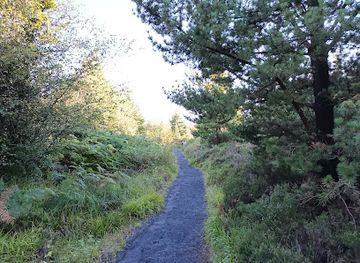 ireland/county-longford/attraction/bri-leith-walk