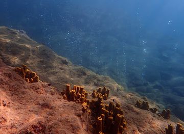 dominica/saint-peter/attraction/champagne-reef-dominica