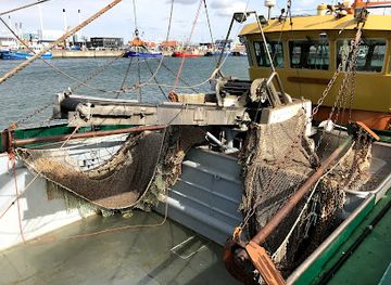 denmark/esbjerg/attraction/fish-auction-for-tourists