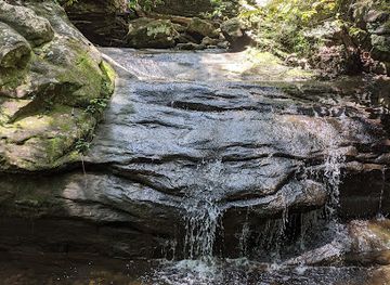 alabama/cahaba-river/attraction/moss-rock-preserve