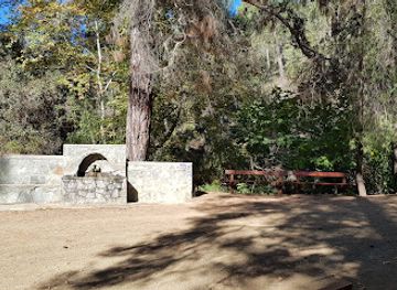 cyprus/machairas-forest/attraction/vrysi-tou-petri