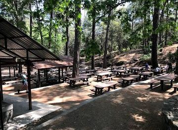 cyprus/pissouri/attraction/platania