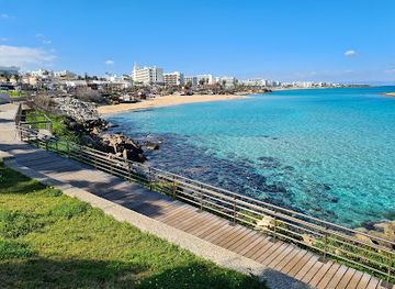cyprus/fig-tree-bay/attraction/fig-tree