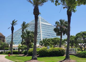 texas/galveston/attraction/rainforest-pyramid