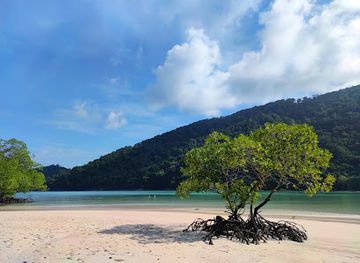 thailand/similan-islands/attraction/mai-ngam-beach