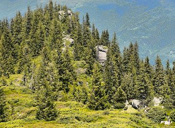 romania/caras-severin/attraction/scorilo-s-stones