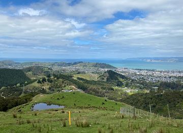 new-zealand/gisborne/attraction/te-kuri-farm-walkway