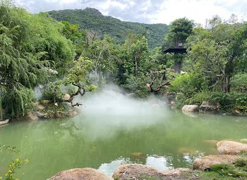 vietnam/nha-trang/attraction/the-fairy-forest