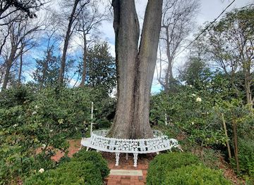 north-carolina/charlotte-area/attraction/wing-haven